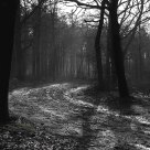 Den Treek Amersfoort Holland